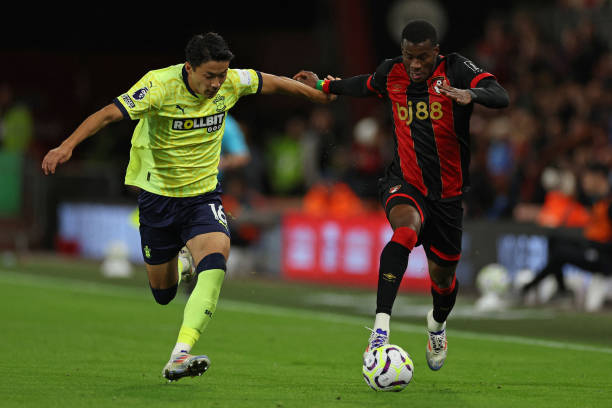 每个新秀都 每个新秀都